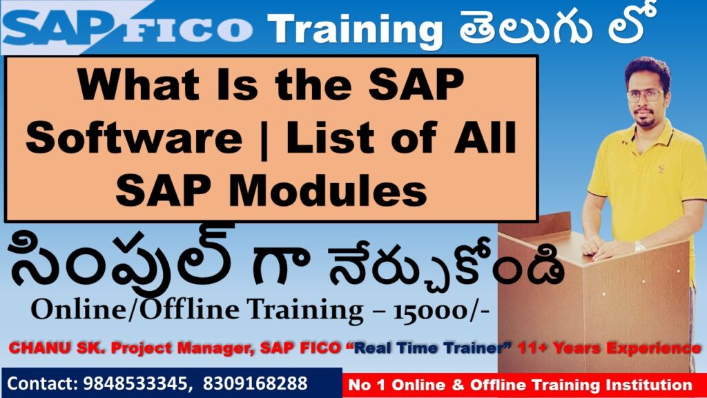 What Is the SAP Software
