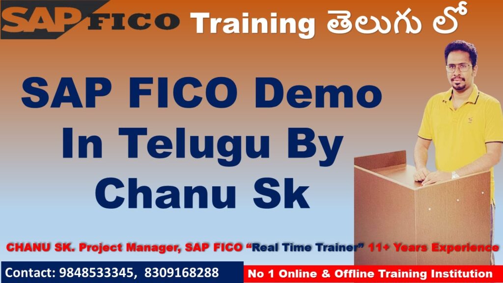 SAP FICO Demo In Telugu