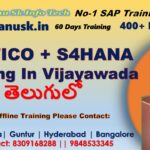 SAP FICO S4HANA Training in Vijayawada